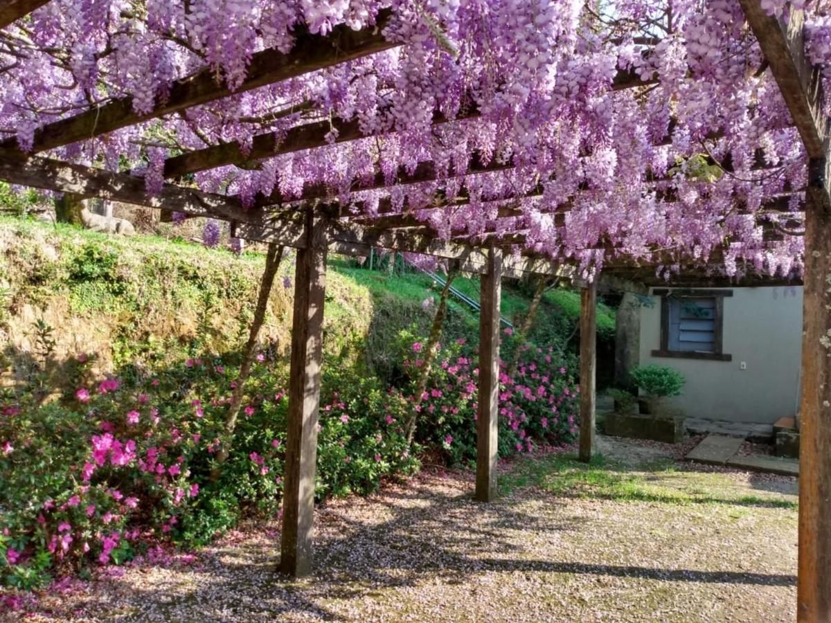 Apartamentos Aromas De Gramado - Bairro Centro Екстериор снимка